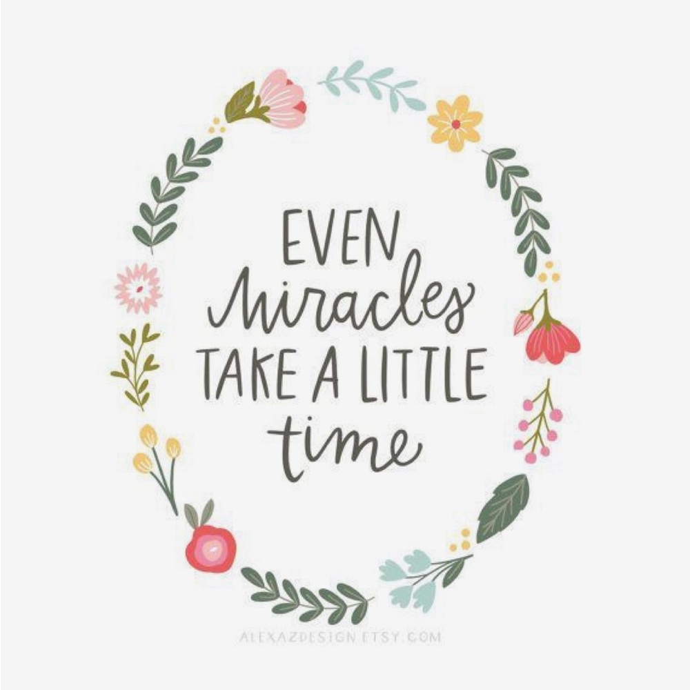 Meet your Posher, Salina